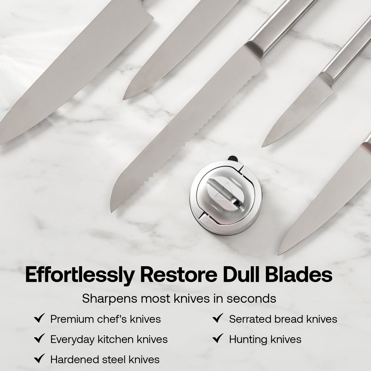 AnySharp EVO in Silver