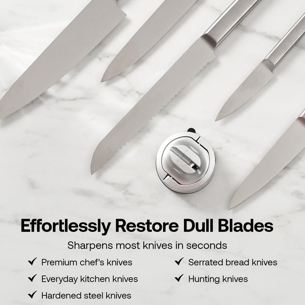 AnySharp EVO in Silver