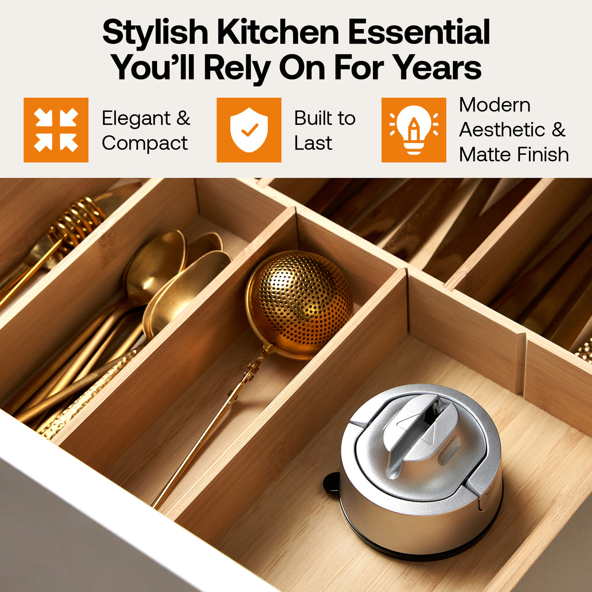 AnySharp EVO in Silver