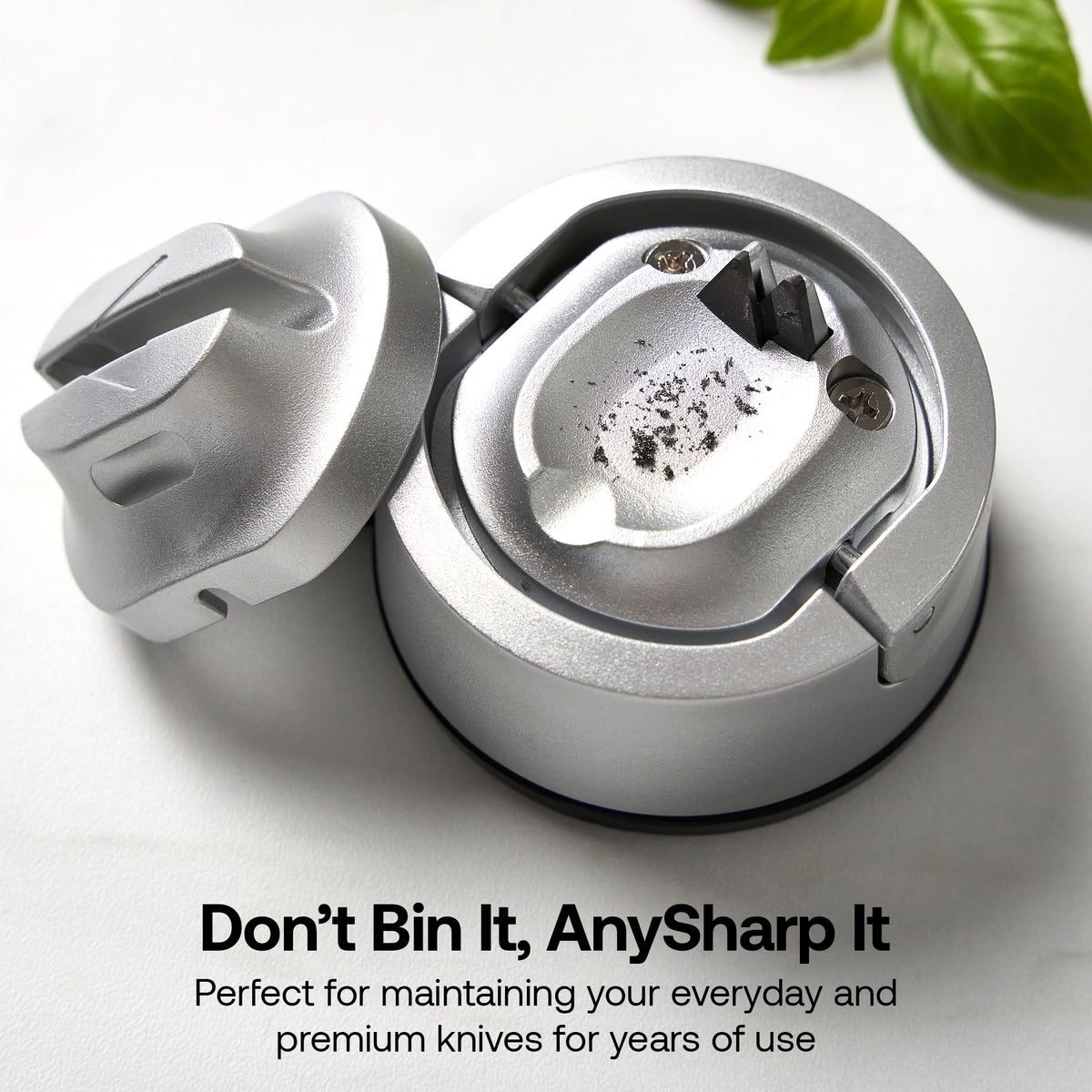 AnySharp EVO in Silver